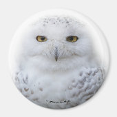 Mooi, drommelig en Serene Snowy Owl Magneet (Voorkant)