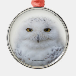Mooi, drommelig en Serene Snowy Owl Metalen Ornament
