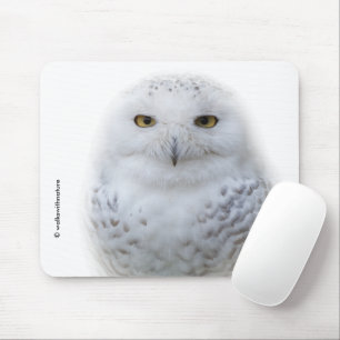 Mooi, drommelig en Serene Snowy Owl Muismat