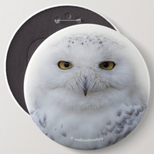 Mooi, drommelig en Serene Snowy Owl Ronde Button 6,0 Cm