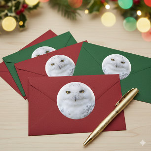Mooi, drommelig en Serene Snowy Owl Ronde Sticker