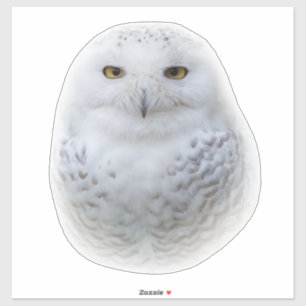 Mooi, drommelig en Serene Snowy Owl Sticker