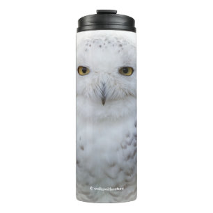 Mooi, drommelig en Serene Snowy Owl Thermosbeker