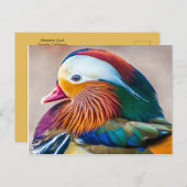 Mooi Duck Portret Briefkaart (Voorkant / Achterkant)