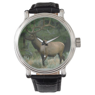 Mooi Elk Horloge