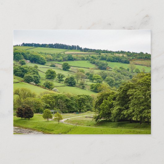 Mooi Engels landschap Yorkshire Dales Briefkaart (Voorkant)