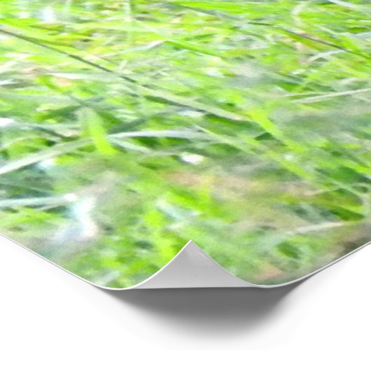 Mooi feest in het najaar poster (Hoek)