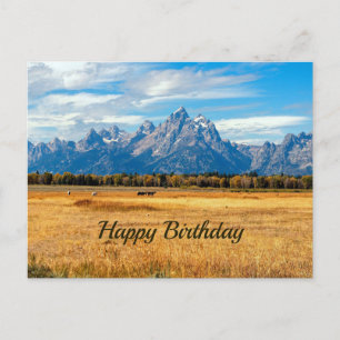 Mooi Gouden Veld Bergen Verjaardag Briefkaart