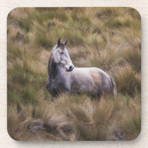 Mooi grijs gekleurd paard bier onderzetter