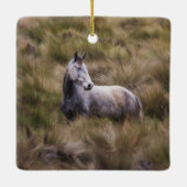 Mooi grijs gekleurd paard keramisch ornament (Achterkant)