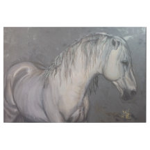 Mooi grijs paard met donkere achtergrond