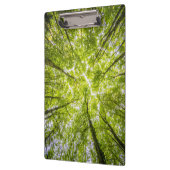 Mooi groen bos klembord (Links)