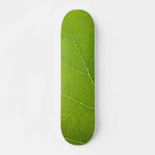 Mooi groen lef skateboard