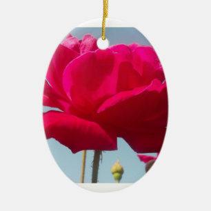 Mooi hemels Roos rood tegen blauw Keramisch Ornament