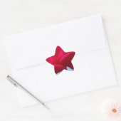 Mooi hemels Roos rood tegen blauw Ster Sticker (Envelop)