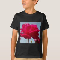 Mooi hemels Roos rood tegen blauw