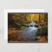 Mooi herfstbos briefkaart (Voorkant / Achterkant)