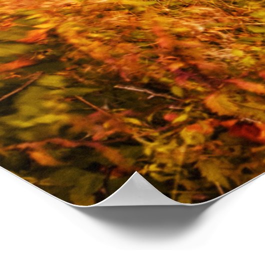 Mooi herfstbos poster (Hoek)