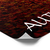 Mooi herfstbos poster (Hoek)