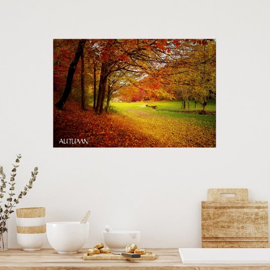 Mooi herfstbos poster (Keuken)