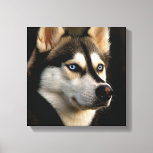 Mooi Husky Sierkussen Canvas Afdruk