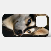 Mooi Husky Sierkussen Case-Mate iPhone Case (Achterkant (horizontaal))