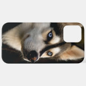 Mooi Husky Sierkussen iPhone Hoesje (Achterkant horizontaal)