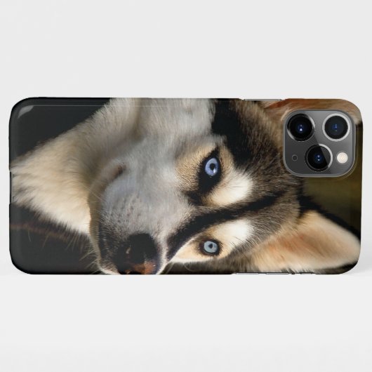 Mooi Husky Sierkussen iPhone Hoesje (Achterkant horizontaal)