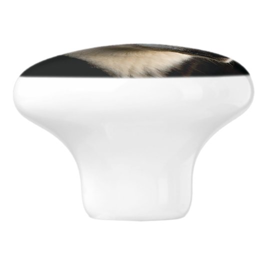 Mooi Husky Sierkussen Keramische Knop (Zijkant)