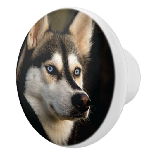 Mooi Husky Sierkussen Keramische Knop (Rechts)