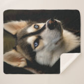 Mooi Husky Sierkussen Sherpa Deken (Voorkant (horizontaal))