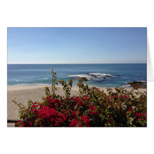 Mooi Laguna Beach