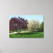 Mooi landschap en bomen canvas afdruk (Voorkant)