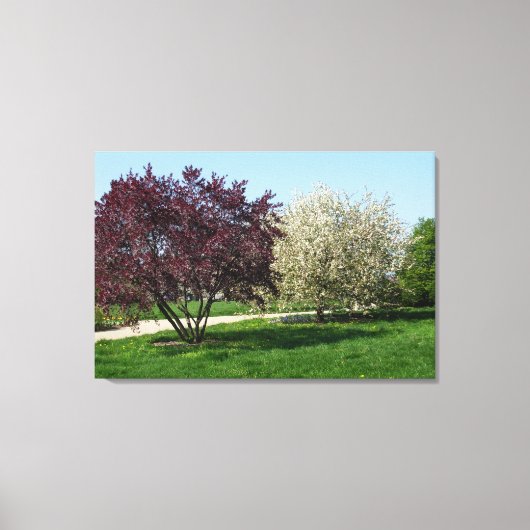 Mooi landschap en bomen canvas afdruk (Voorkant)