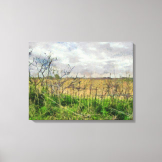 Mooi landschap in Iowa, oud hek Canvas Afdruk