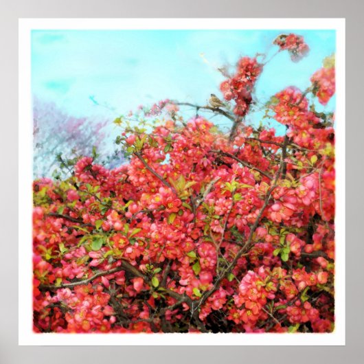 Mooi liedje, poster (Voorkant)