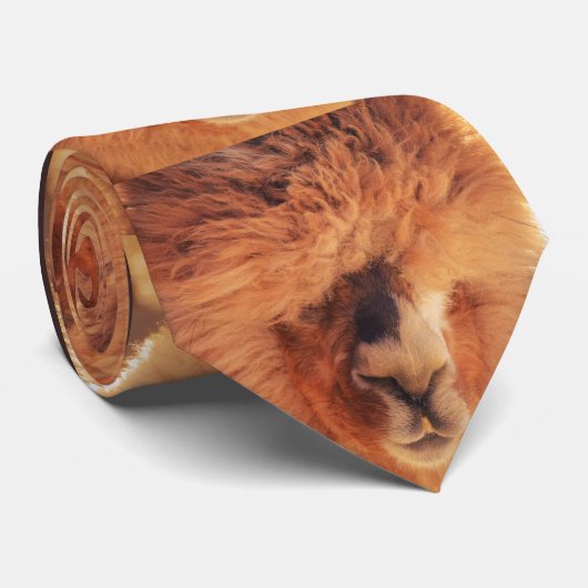 Mooi Llama Alpaca Stropdas (Opgerold)
