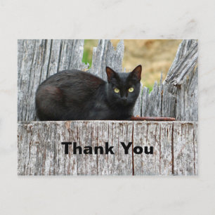 Mooi Logfoto van Zwarte Kat Bedankt Briefkaart