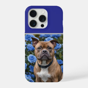 "Mooi Meisje: Een bruine Staffy in een blauwe roze iPhone 15 Pro Hoesje