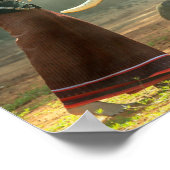 Mooi meisje met haar Poster op de olifant foto's (Hoek)