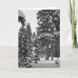 Mooi om van je te horen! Na de kerstSjabloon Feestdagen Kaart