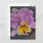 Mooi Orchid Briefkaart (Voorkant / Achterkant)