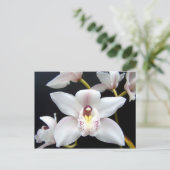 Mooi Orchid Briefkaart (Staand voorkant)