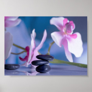 Mooi Orchid, Zen Stones Poster