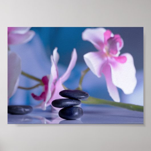 Mooi Orchid, Zen Stones Poster (Voorkant)