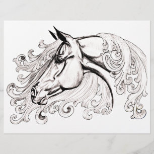 mooi paard