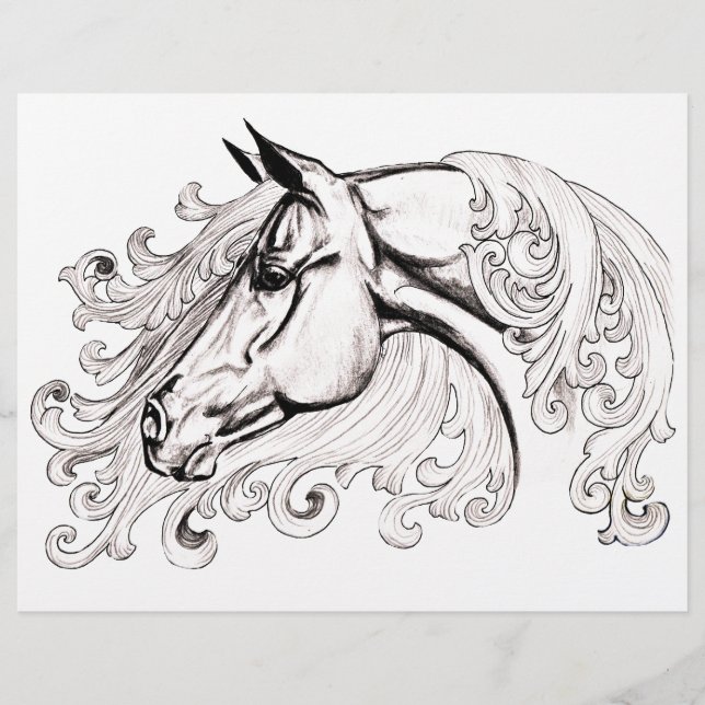 mooi paard (Voorkant)