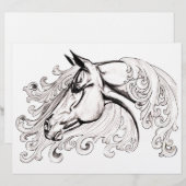 mooi paard (Voorkant / Achterkant)