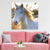 Mooi paard canvas afdruk (Insitu (Woonkamer))