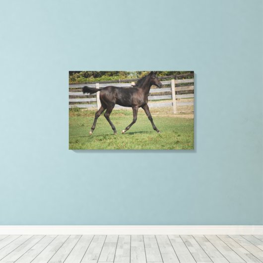 Mooi Paard dat door het veld loopt Canvas Afdruk (Insitu (Houten vloer))